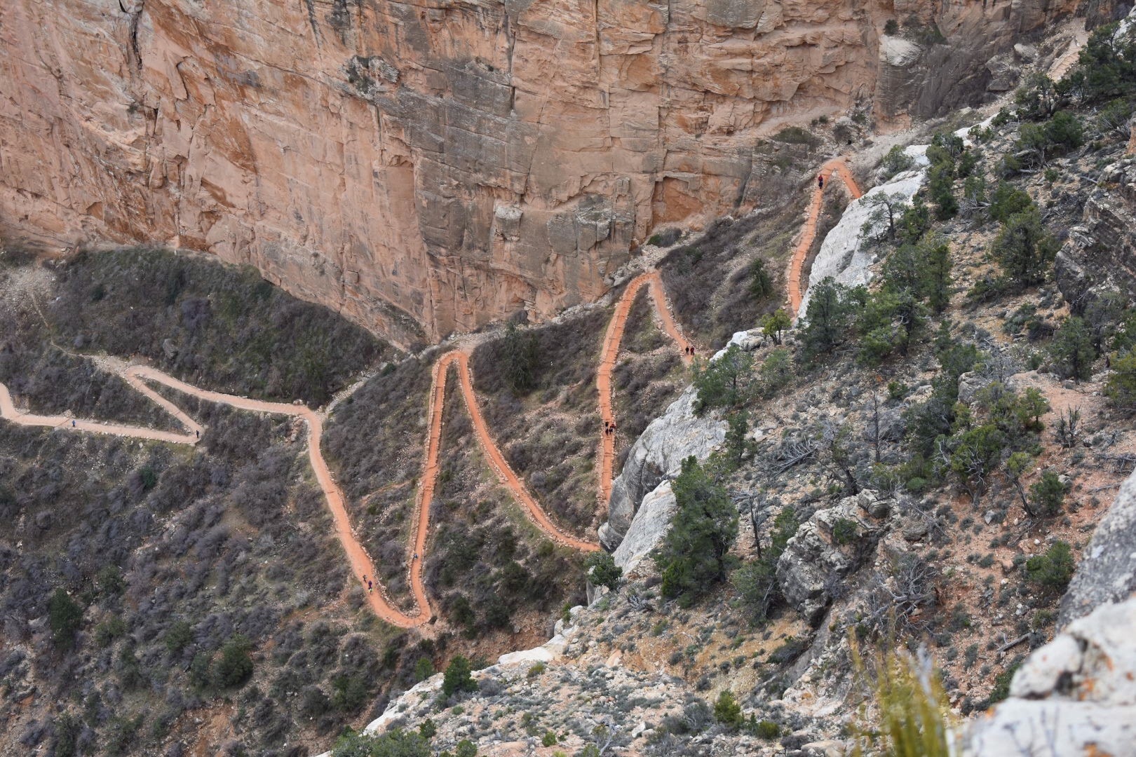 6D36E5D1-5CA6-46AA-95DD-DBB060D2E84C