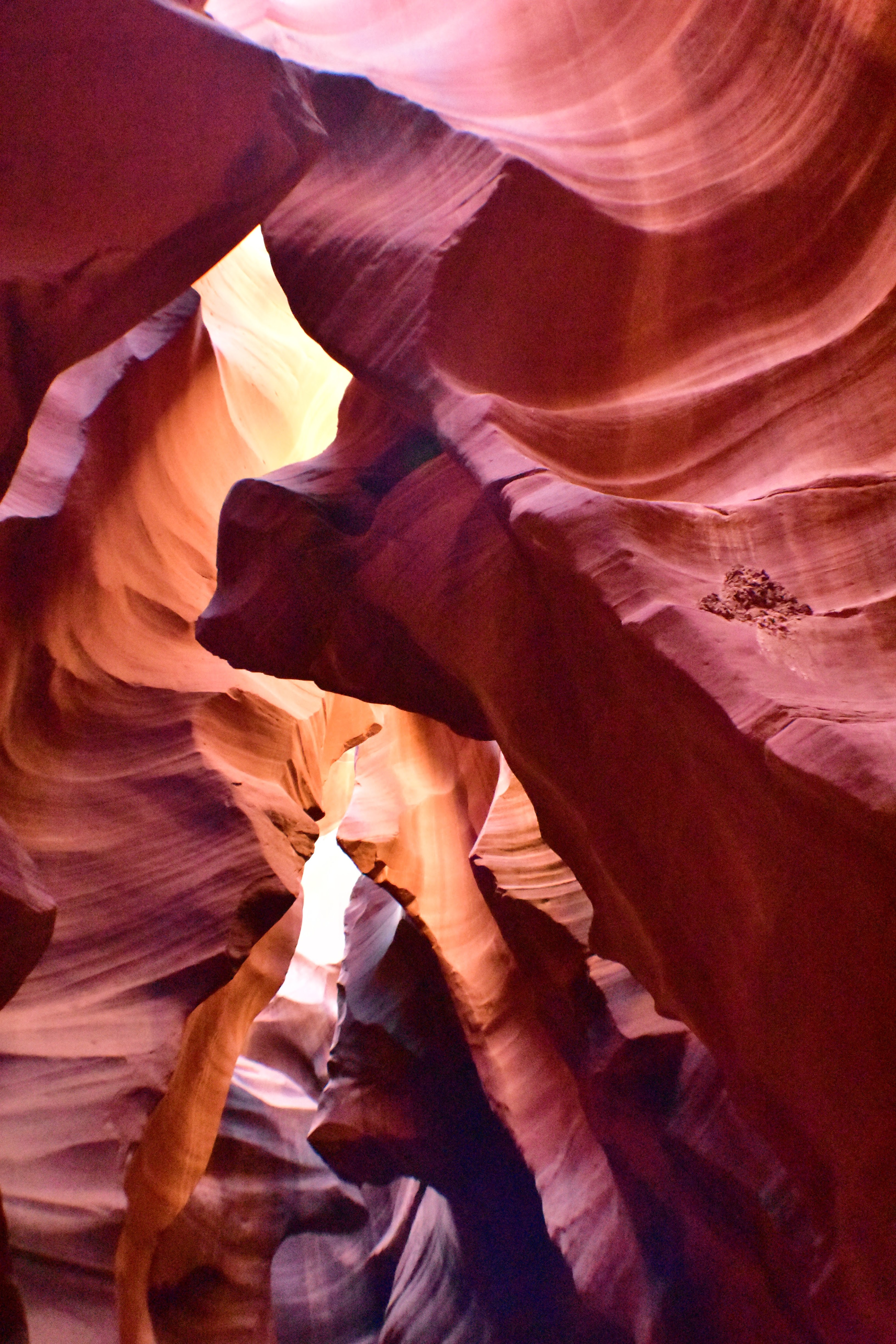 91C821B3-6FAC-4F38-A2D7-264D8D5161F7