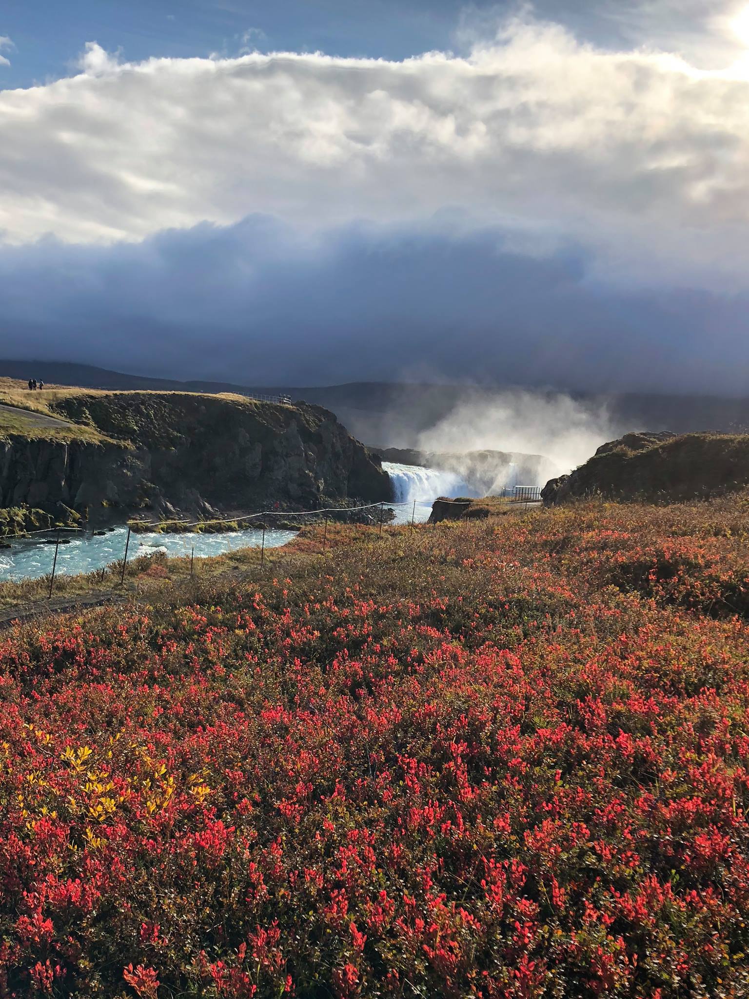 42199236_10156723595754282_324815560414068736_o