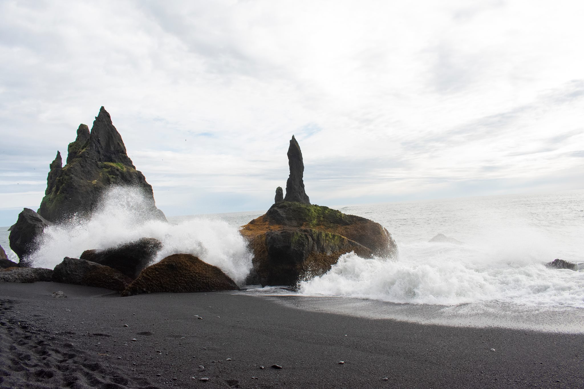 42299635_10156723604074282_7284358469245730816_o