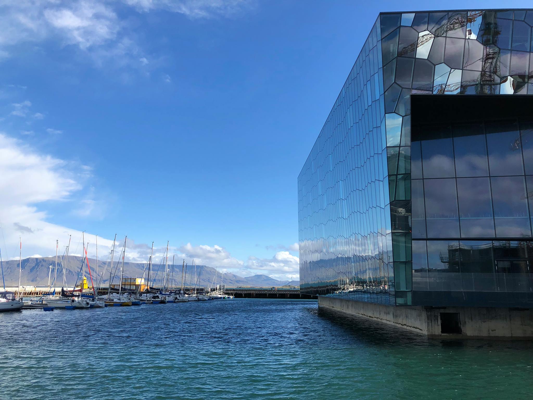 42300474_10156723600919282_4702790516817788928_o