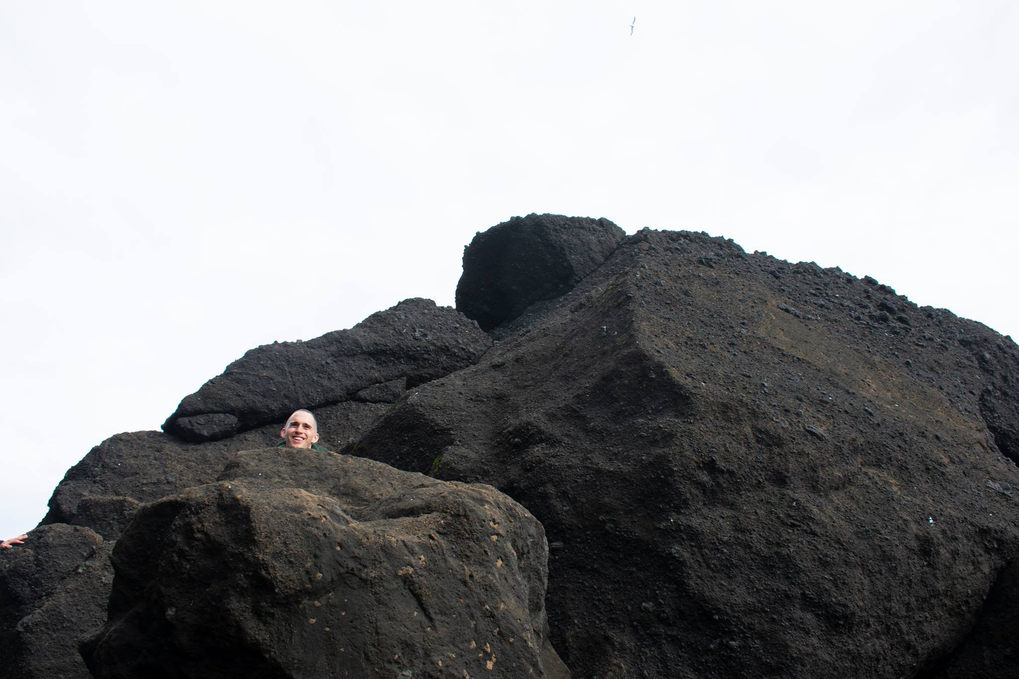 42301062_10156723598969282_8236683096796168192_o