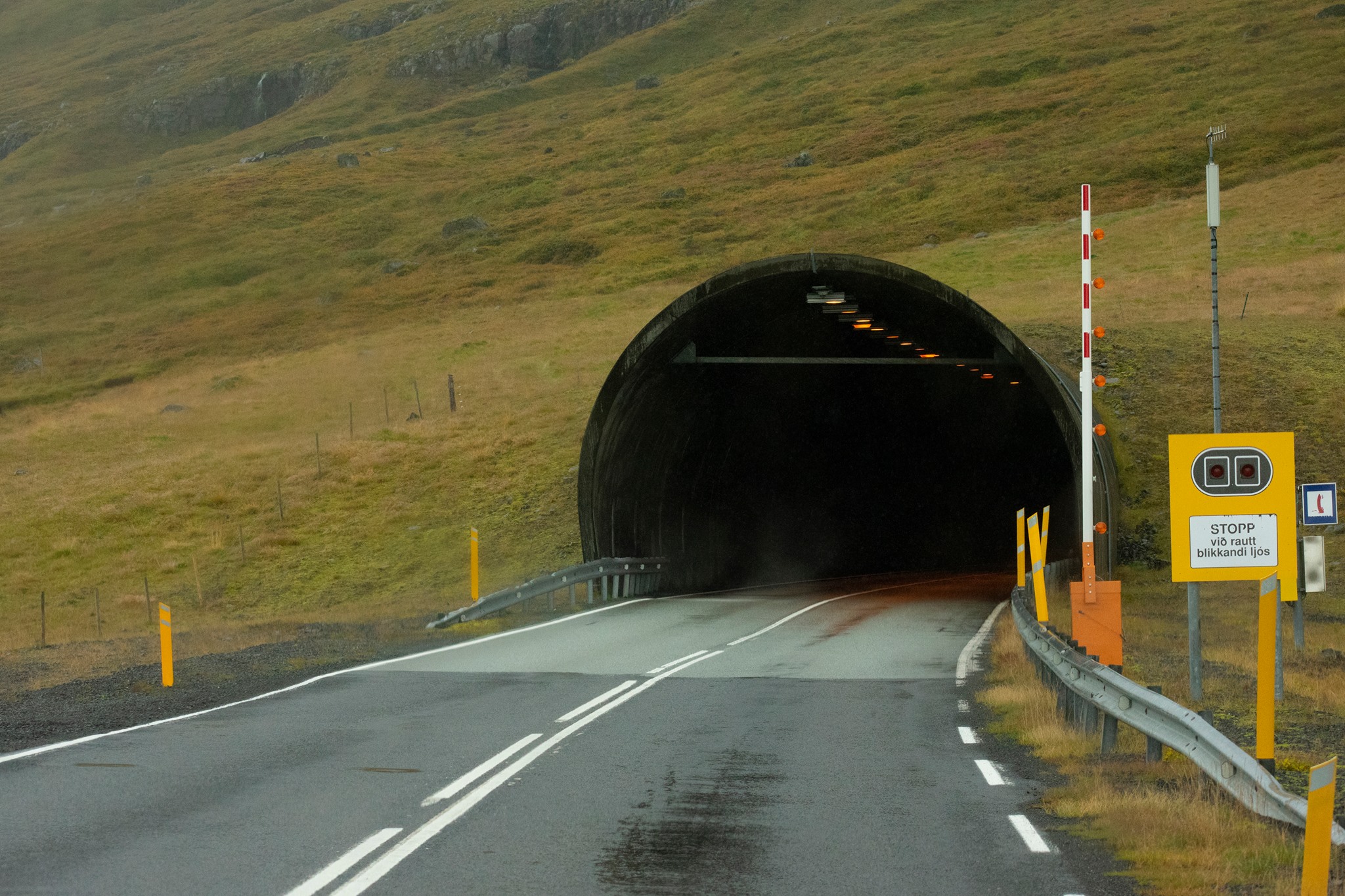 42301790_10156723612589282_3153391583160696832_o