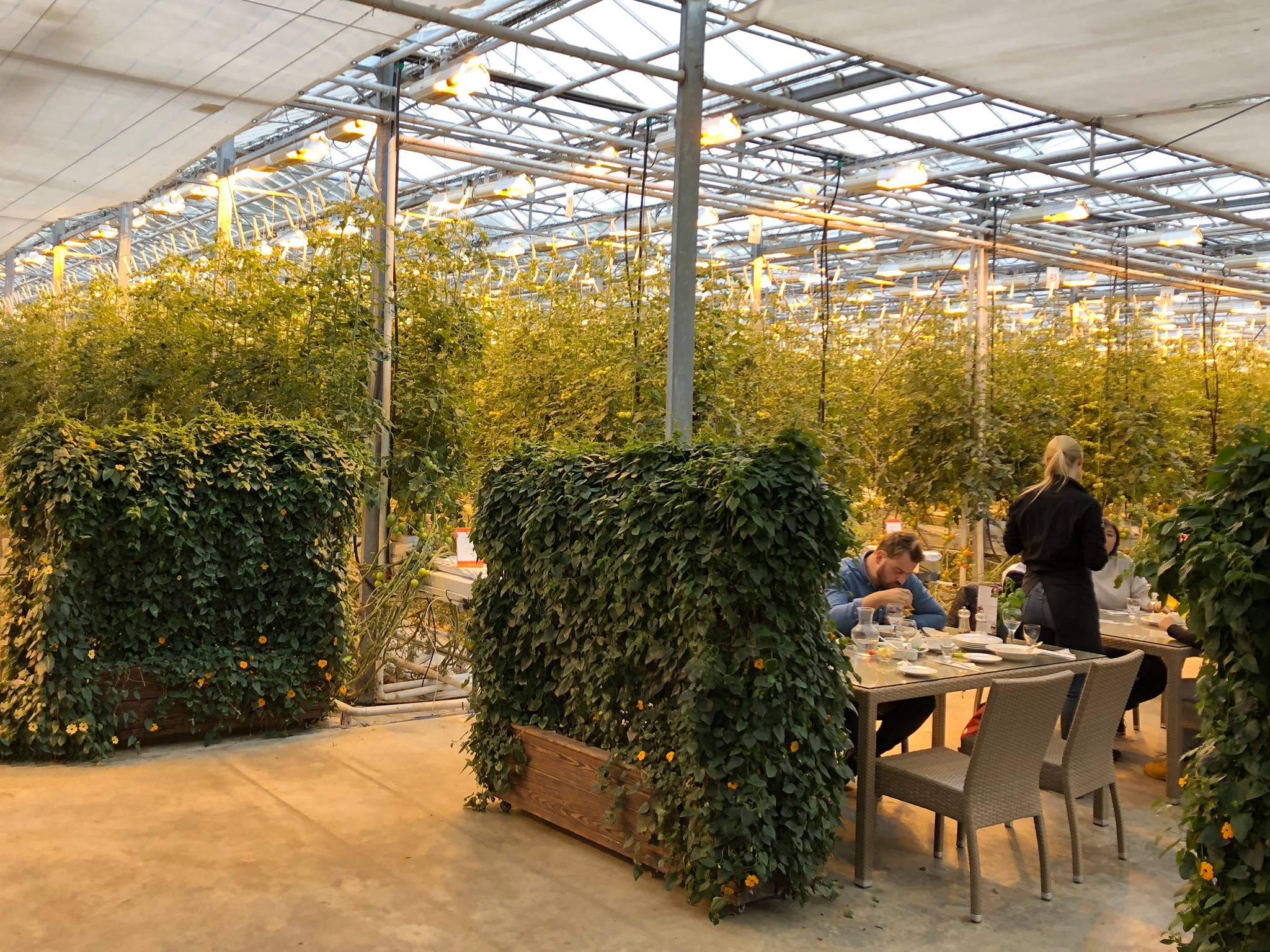 42306182_10156723603034282_7022811659752177664_o