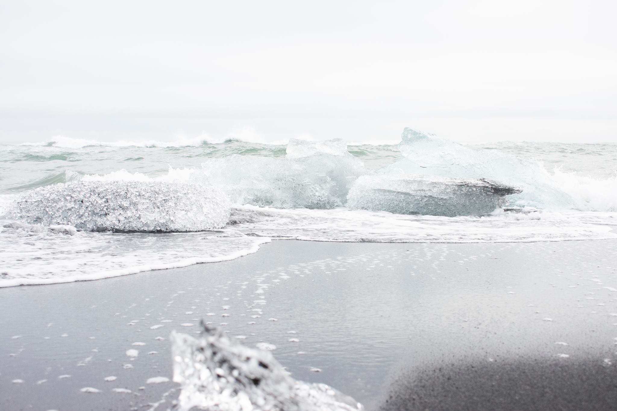 42312481_10156723601799282_3308501745780391936_o