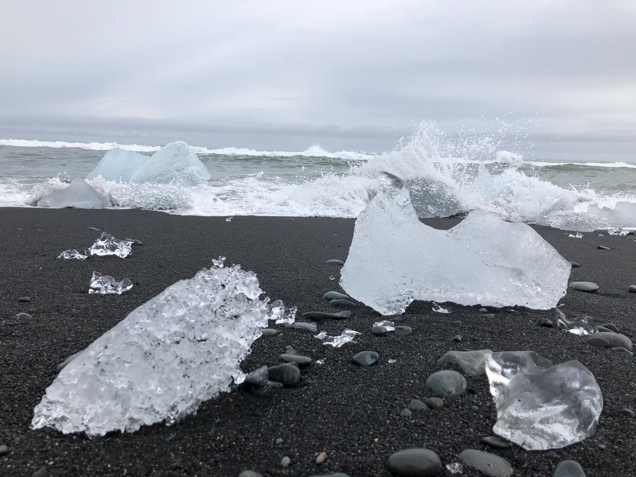 42325042_10156723587574282_708850791330349056_o