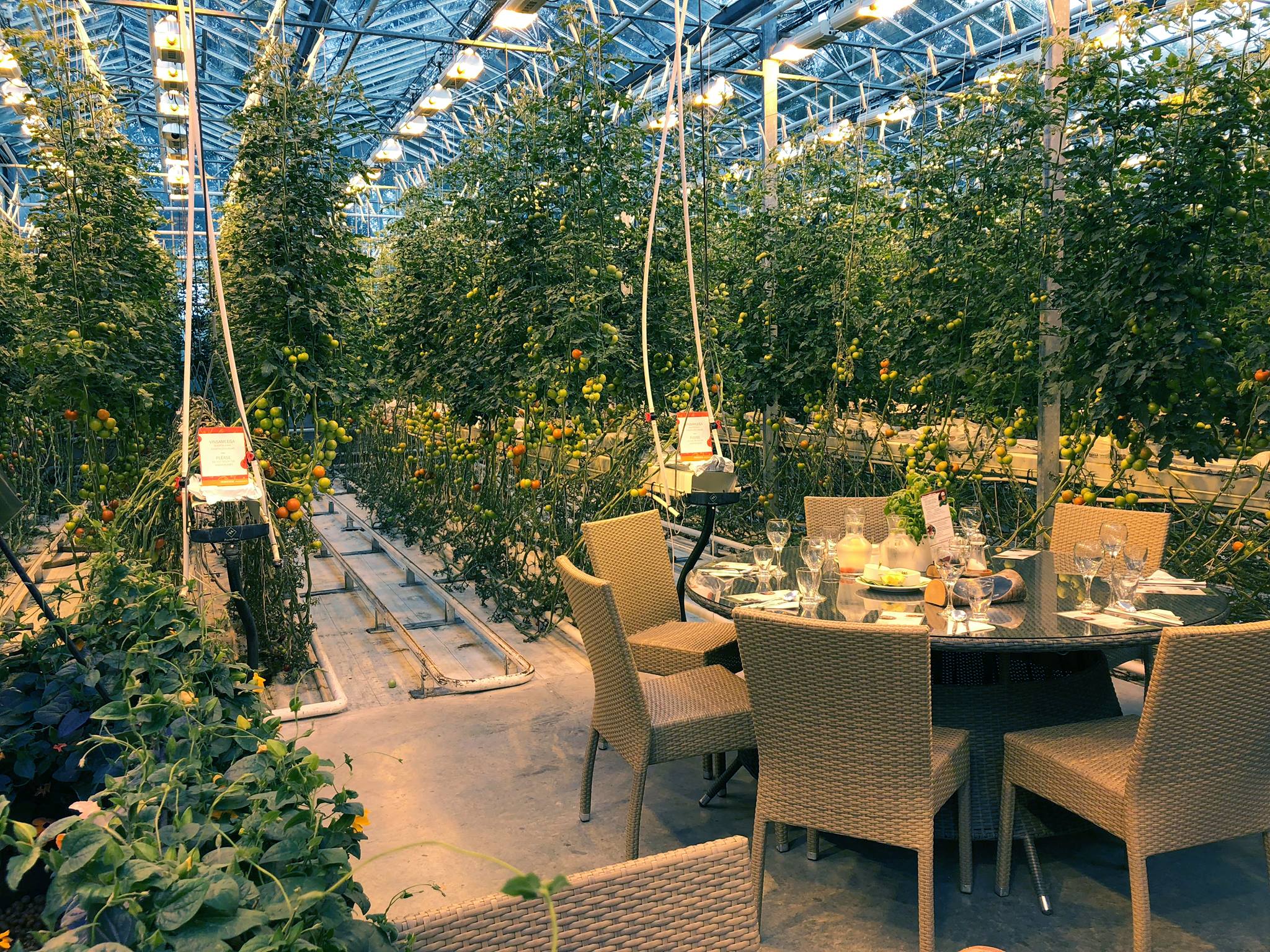 42327106_10156723621374282_1825930059412668416_o