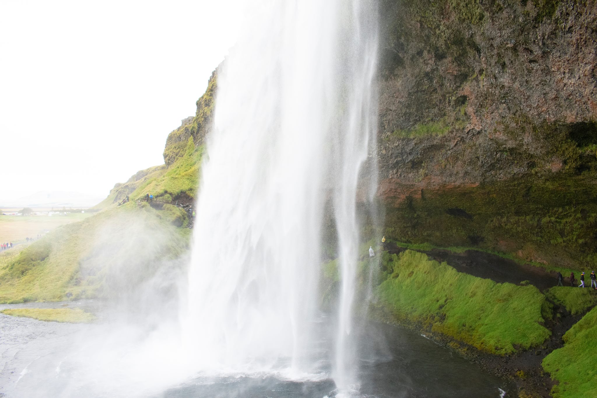 42351665_10156723604364282_8046930470996279296_o