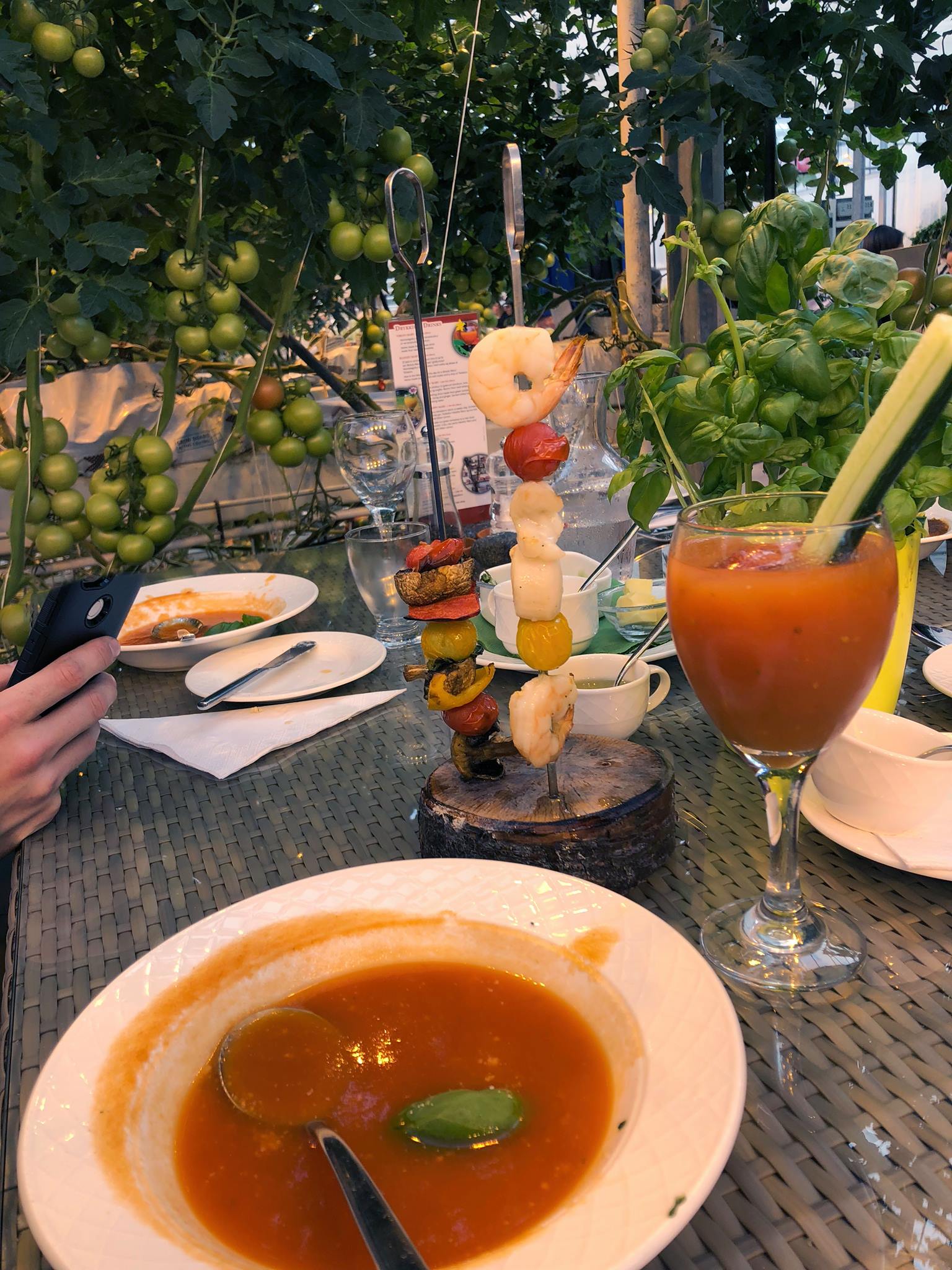 42354103_10156723603344282_3454584793381994496_o