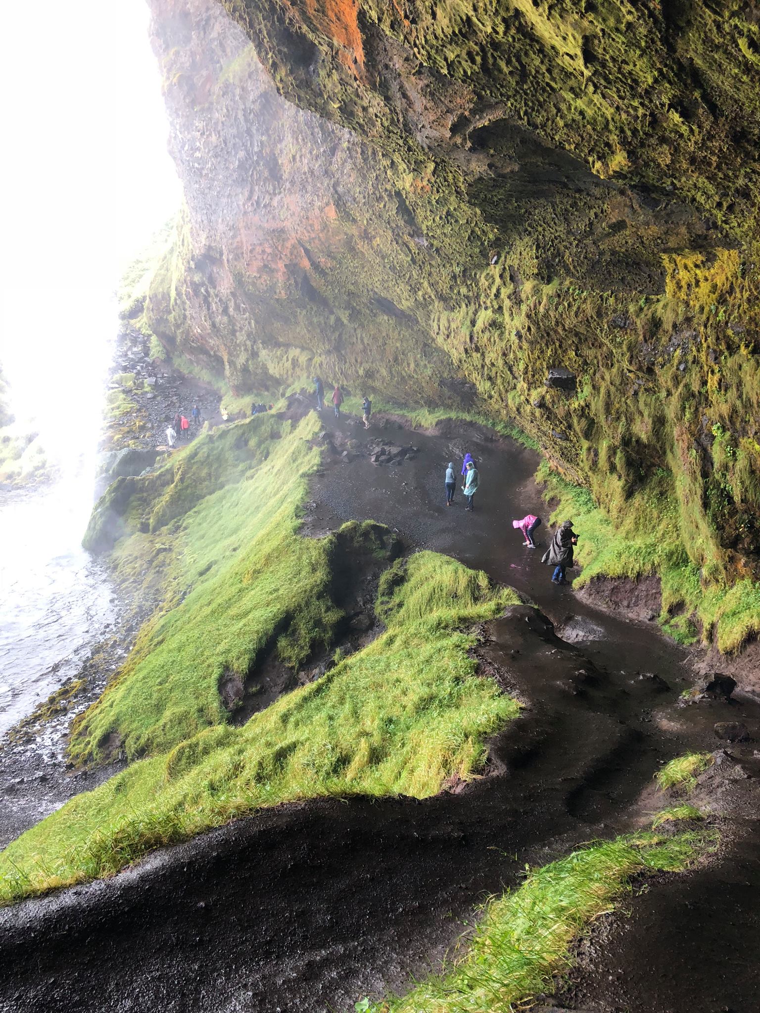 42366805_10156723596444282_6272720540906029056_o