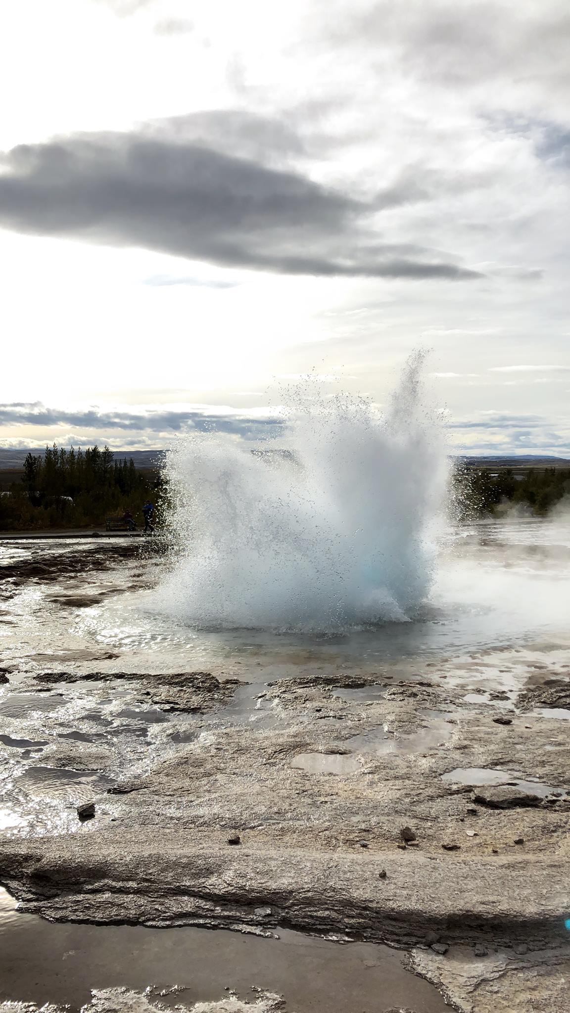 42369919_10156723597224282_1433270809043927040_o