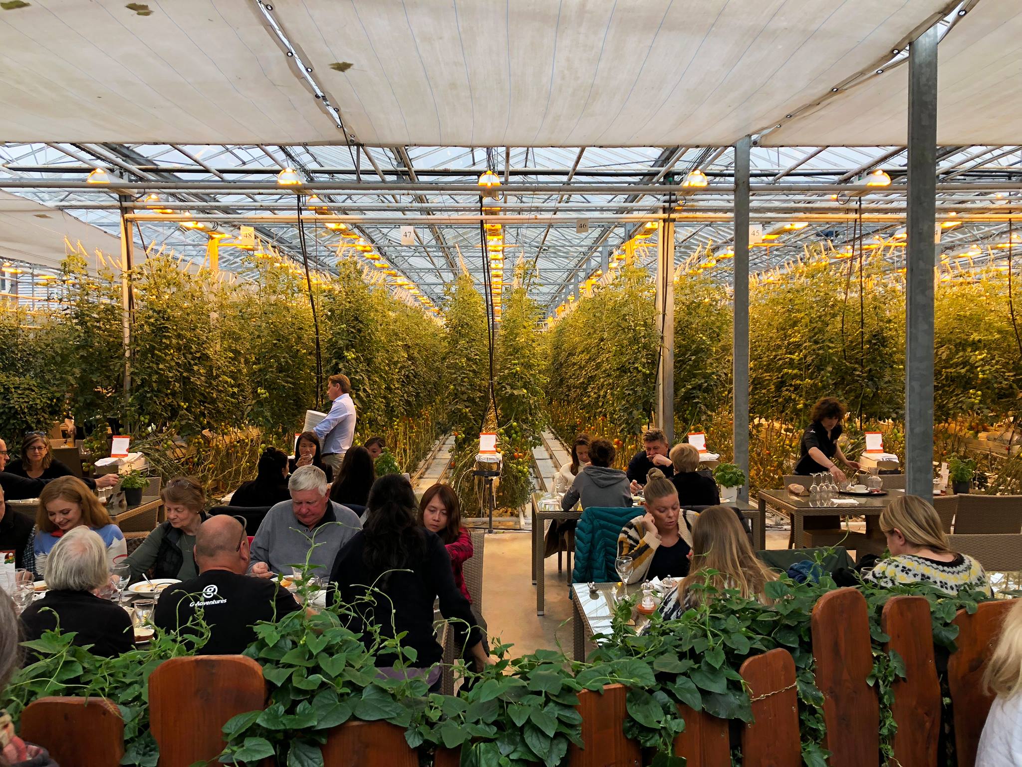 42371011_10156723604844282_1950378119793737728_o