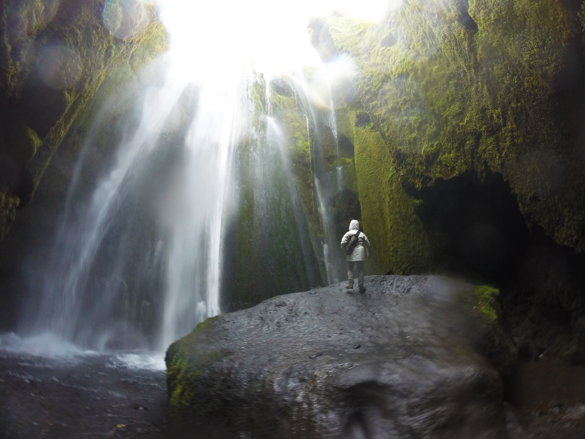 42390830_10156723586969282_4594172816831545344_o