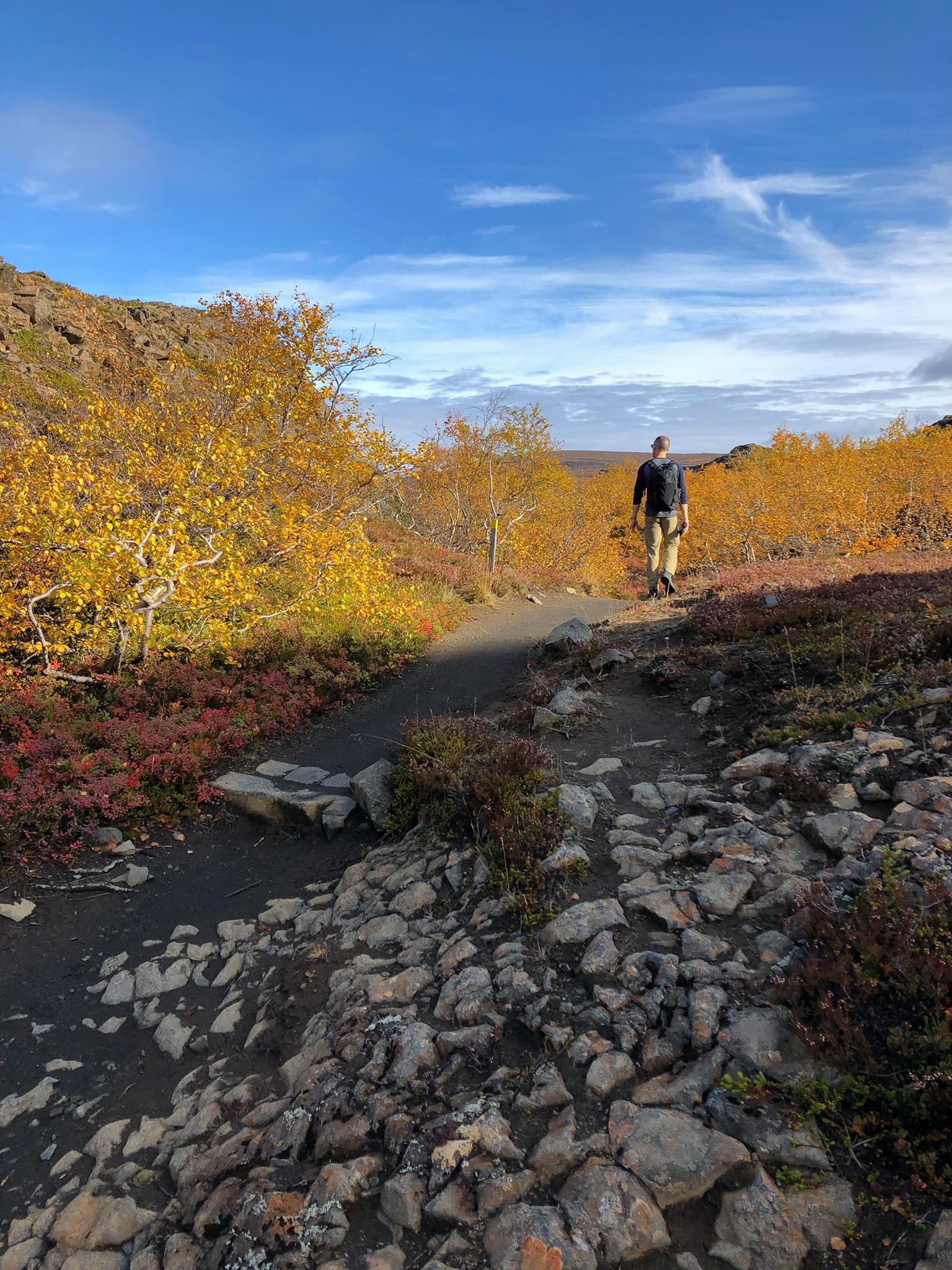 42404910_10156723594824282_5932983632745463808_o